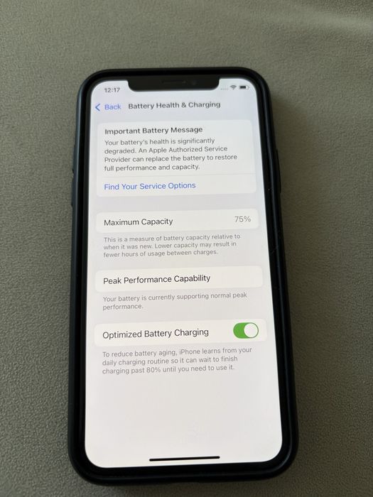 iPhone XS 256 GB