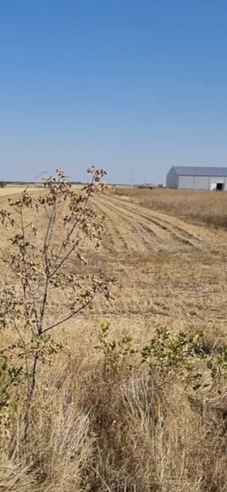 Teren de vânzare soseaua spatarului