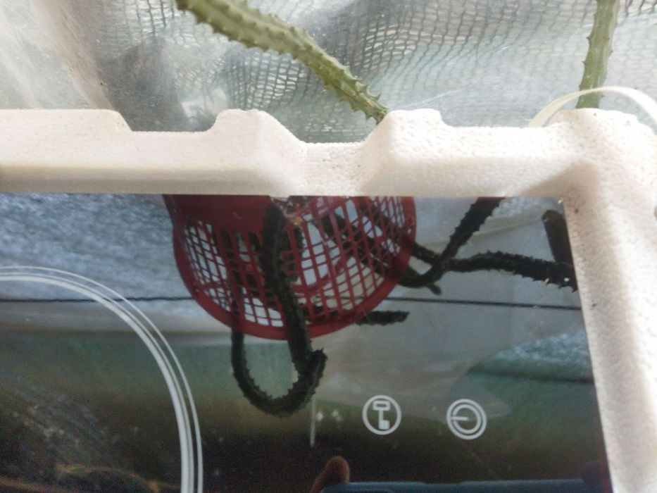 Продается панель электро плита быу