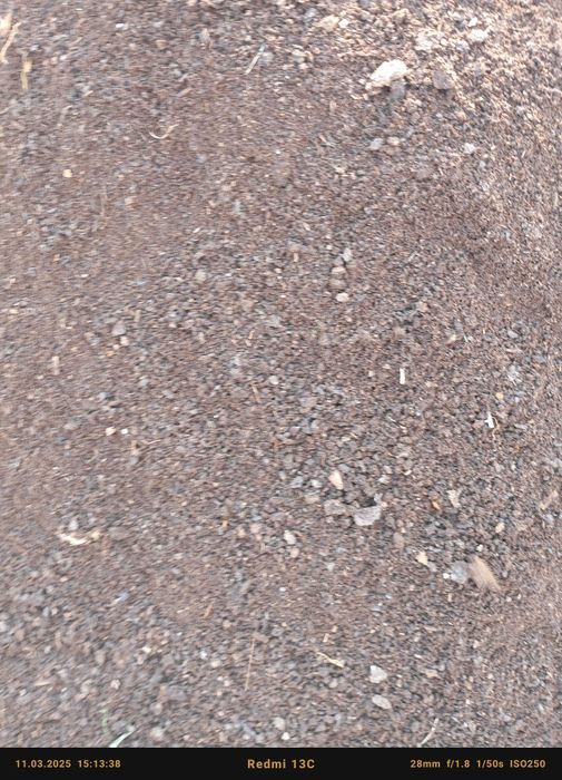 Gong biyogomus jirigan sifatli qoplangan