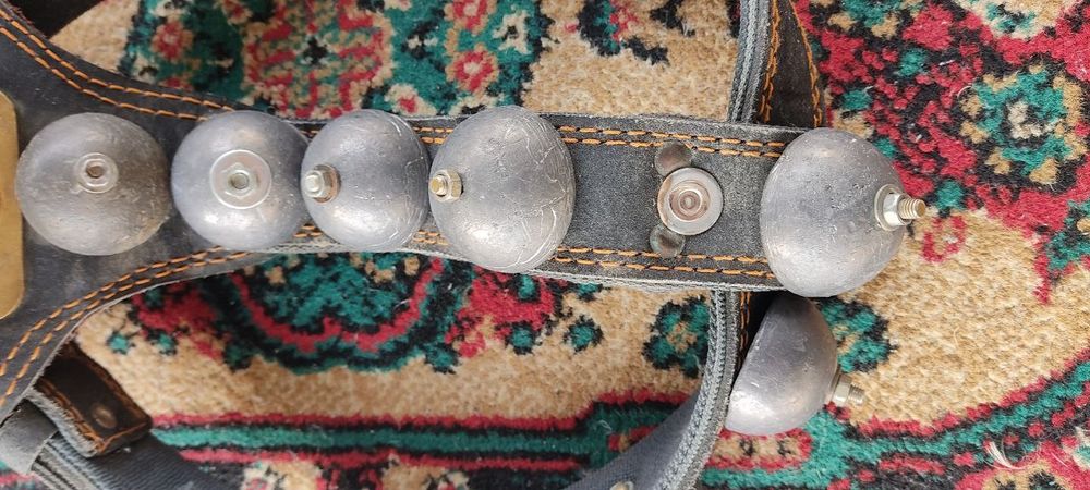 Шлейка-ошейник для тренировки