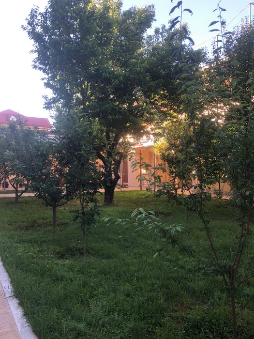 Дўрмон арча кўча, Дурмень, Дормон, Dormon uy. Участок, ер, земля