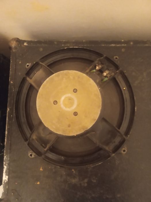 Динамики 100ват широко полосный 12 дюймовый