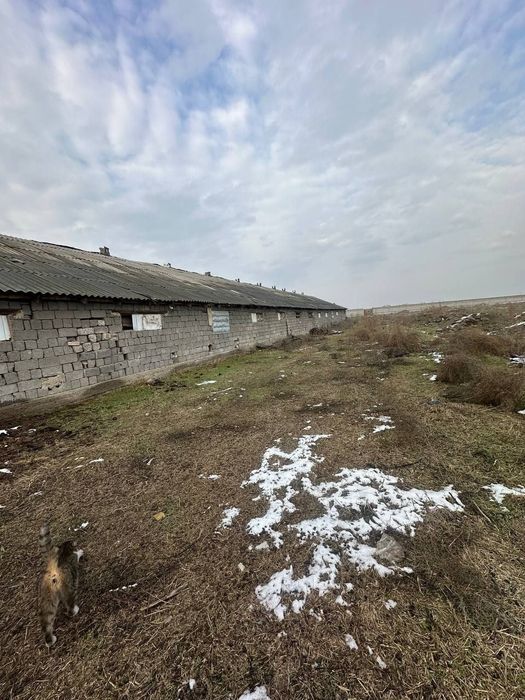 Sirdaryo shahar, Pravdada 1.50 gektarli ferma sotiladi