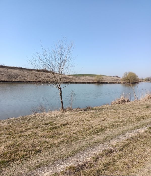 Teren de vanzare in Sat Walter Mărăcineanu ,Comuna Iepuresti