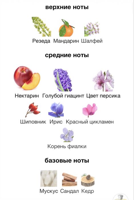 Burberry Weekend EDP 25 ml