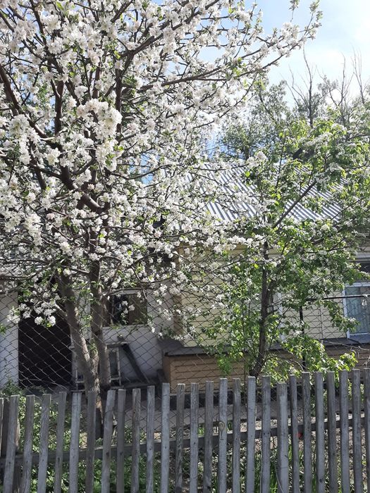 Продам часть дома в ЦЕНТРЕ