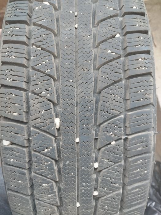 Зимние шины Triangle  сто девяносто пять  - шестдесять пятьR