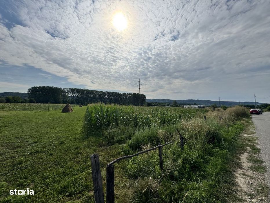 Teren 7.500 mp Valea Bradului – Utilitati, Rau, Ideal Investitie