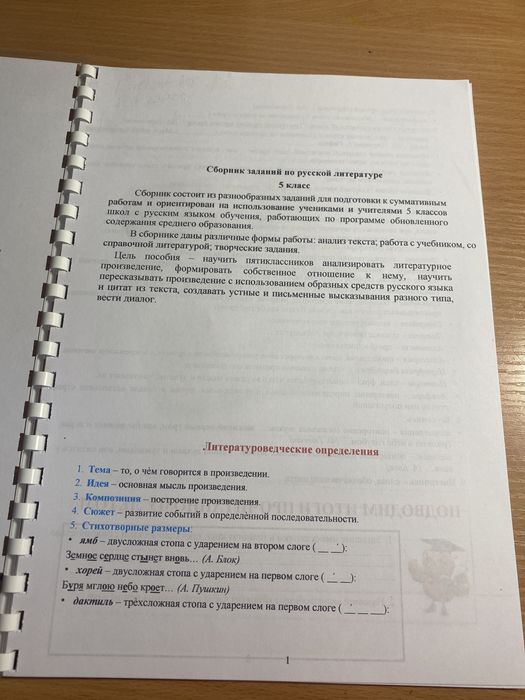 Сборник заданий по рус.лит. 5 класс