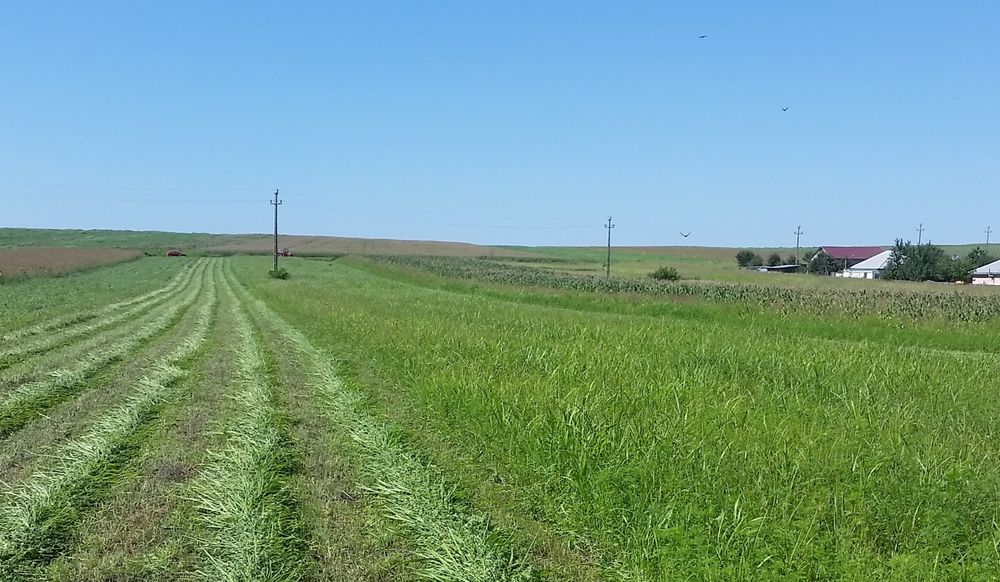 Teren intravilan Holboca 1624mp