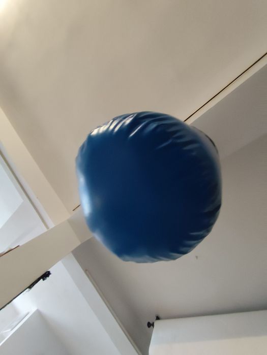 Боксова круша Petra