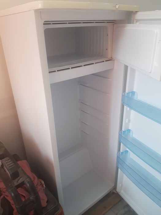 Xaladilnik Бурюса bo'yi 1.5 metr