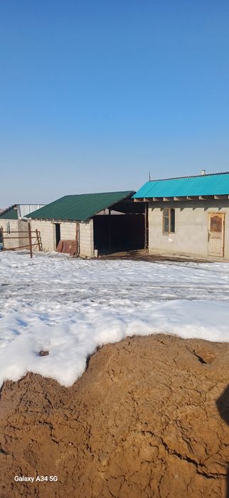 Откорм сатылады   120