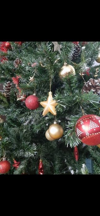 Brad Craciun 2.20 des si bogat