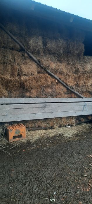 Vând baloți de fân