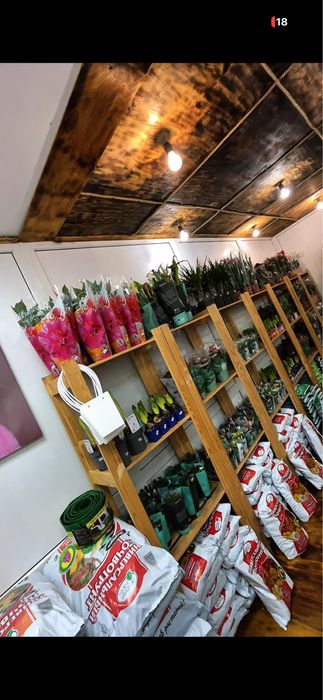 Продам действующий бизнес