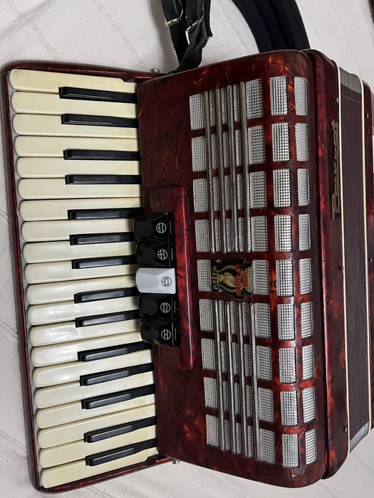 Acordeon Parrot stare impecabila