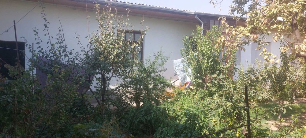 Toshkent shaxar M Ulugbek tumani Chingeldi mahllasida hovli sotiladi