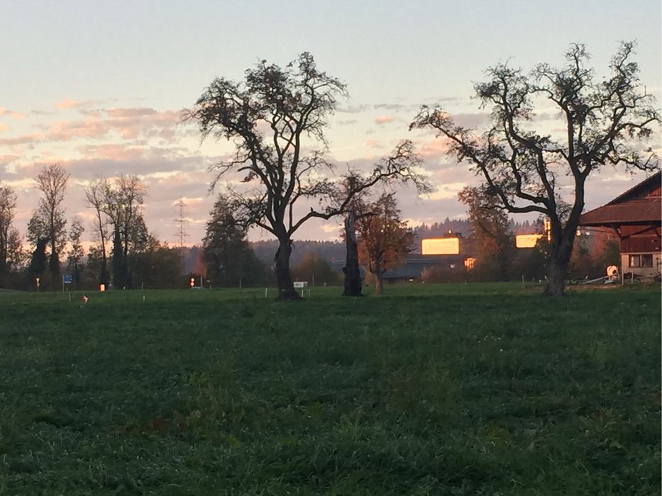 Седалка за колело, Италия