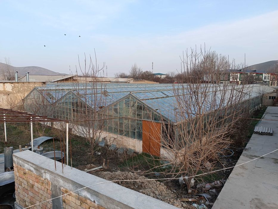 Issiqxona sotiladi oynali