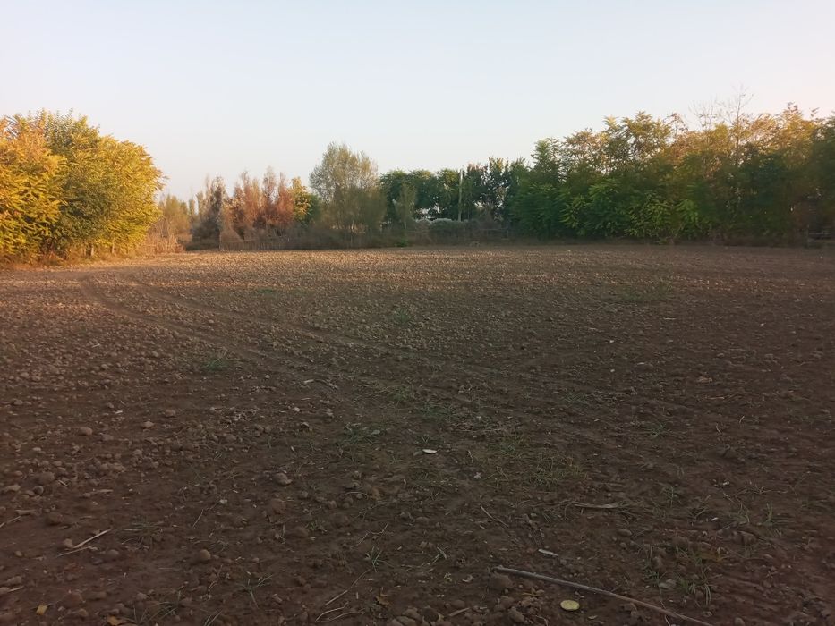 Boka tumani МФИ дехқончилик чорвочиликка қулаи  жои