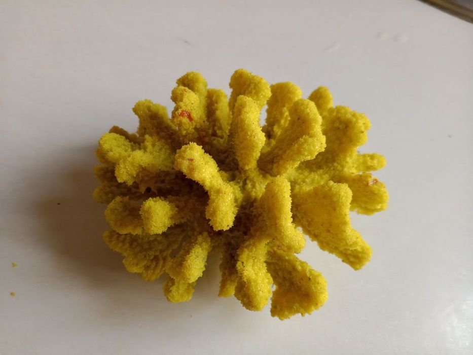 Akvarium uchun Karallar