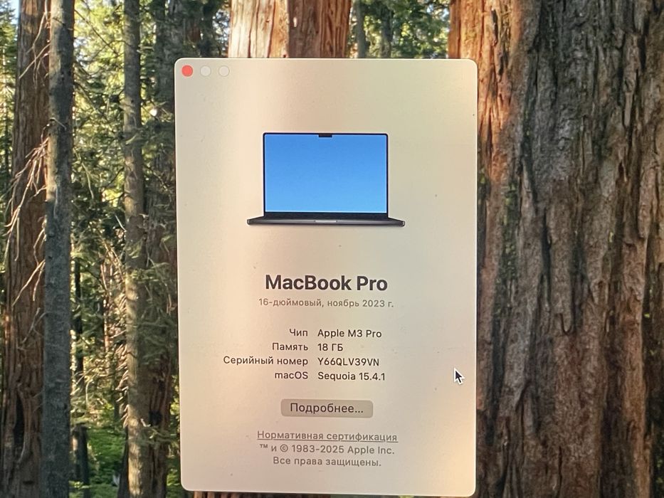 Apple MacBook Pro 16 (2023) MRW13