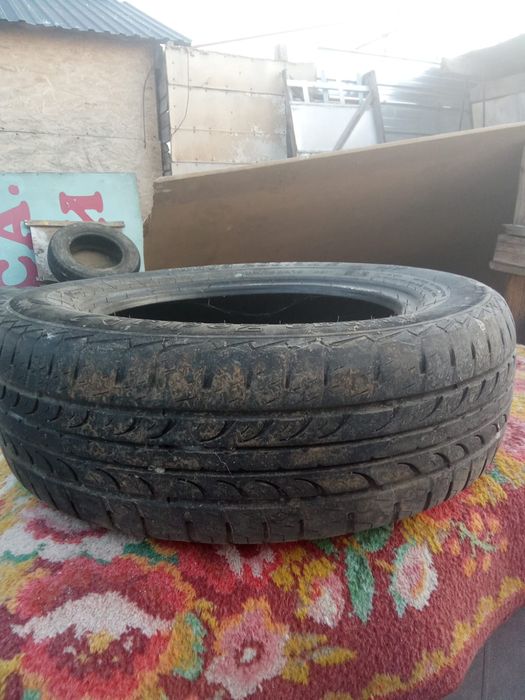 Летние шины Tunga Zodiak 2 195/65