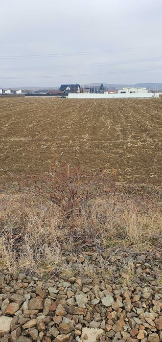 Teren intravilan sau parcele la iesire din Târgu Neamț spre Pașcani.