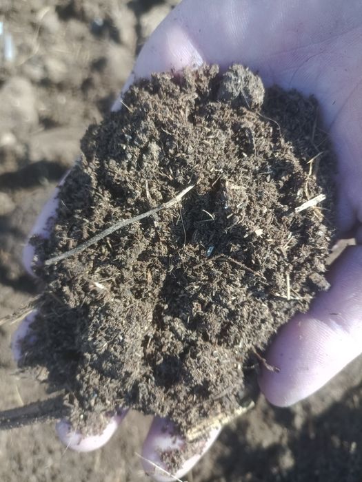 Продам навоз коровий,