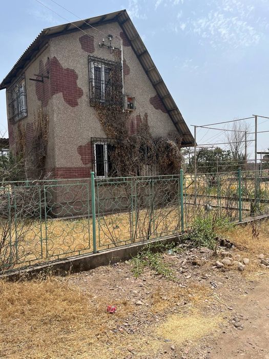 Dachshund prodayotsa