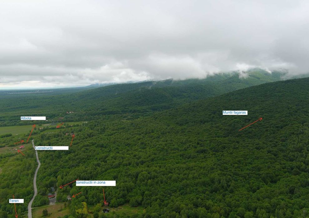 Teren  Transfagarasan Cartisoara