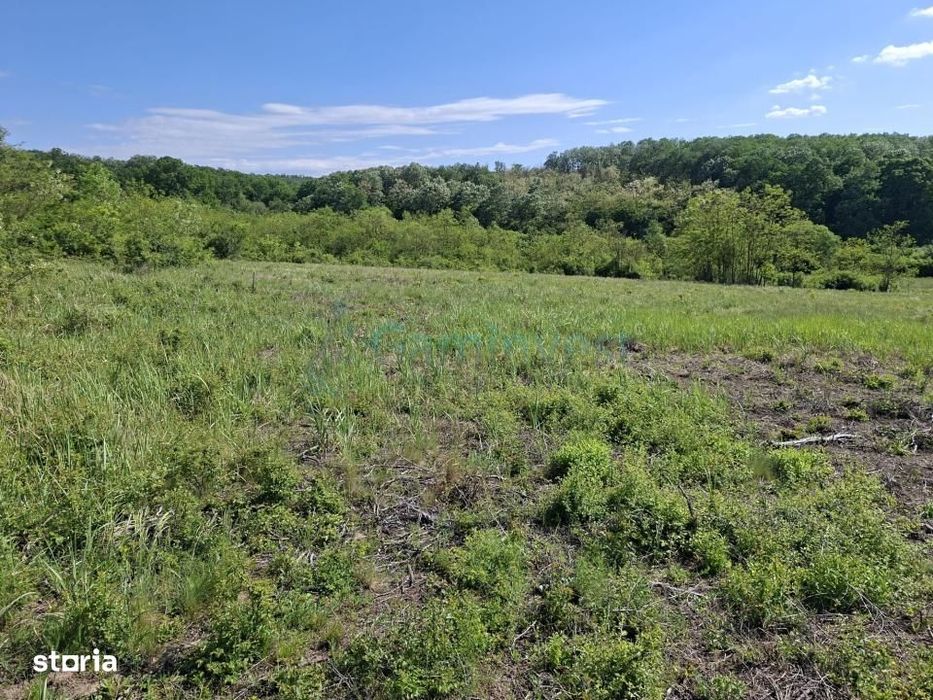Teren intravilan de vanzare 9783 mp, in Paleu, Bihor, Gaminvest, V4749