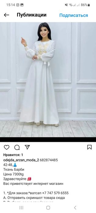 Ол кискасымен цуккиниге отырды