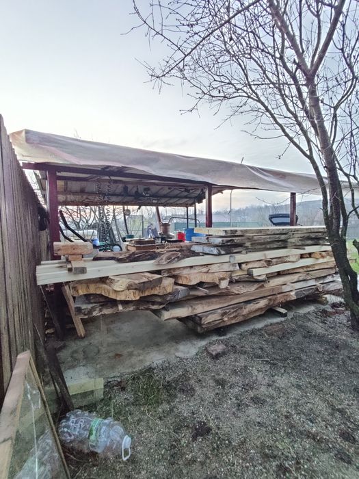 Blaturi de nuc vechi