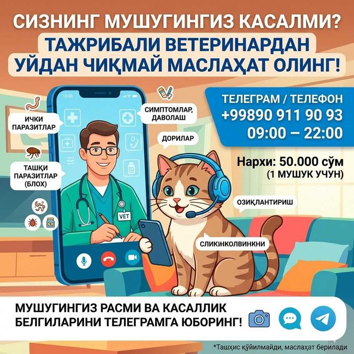 Онлайн Ветеринар Маслаҳати – Фақат Мушуклар учун!