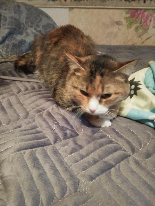 Милая девочка даром