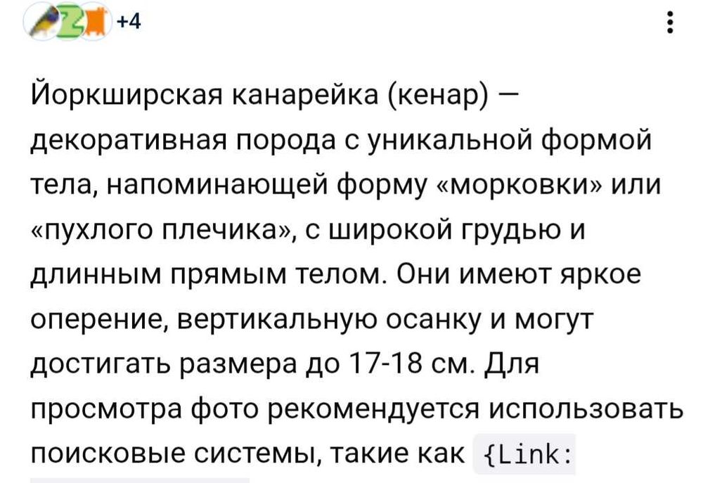 Йоркширская канарейка