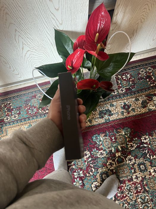 Karopka dakument 12 pro max