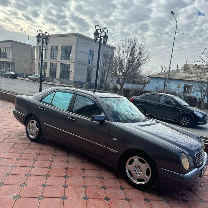 Мерседес лупарик