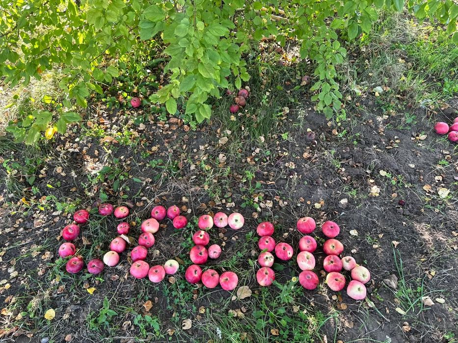 Продам дачу сад здоровье.