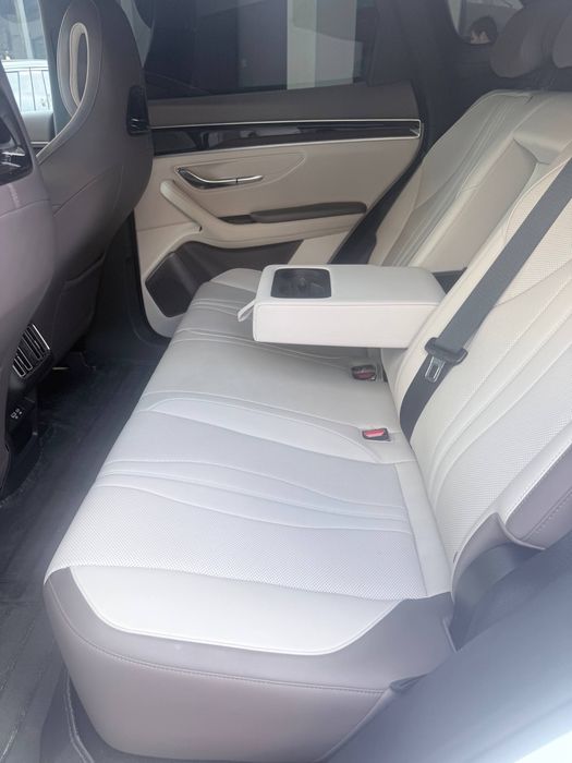 Byd chempion  SMART 2025