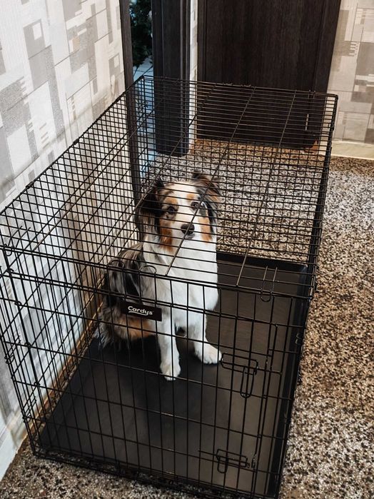 Голяма XL метална клетка за куче/животни