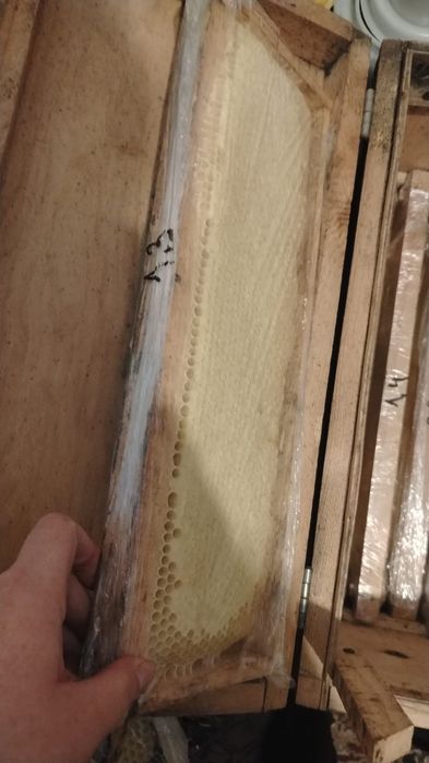 Мёд с личной пасики!