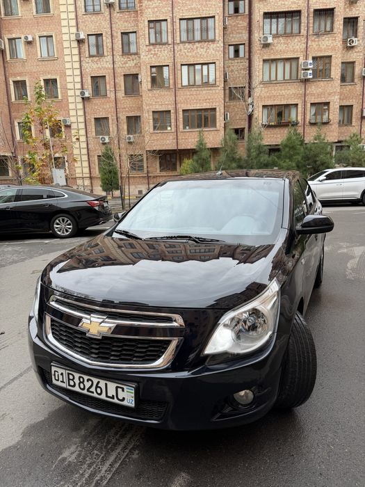 Cobalt full dark mon blue 2023 toza