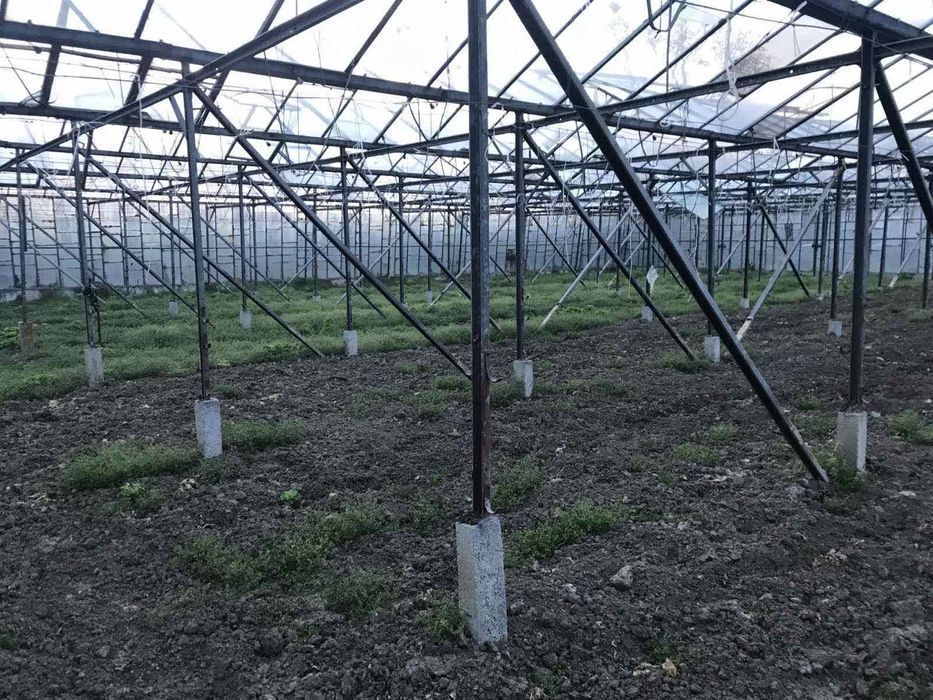 Стъклена оранжерия