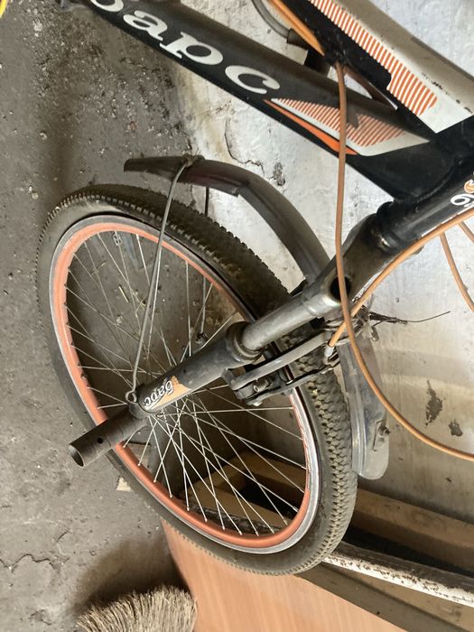 Велик бу барс буб