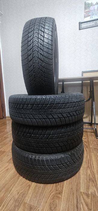 Nexen Winguard ice Plus (195/65 R15)