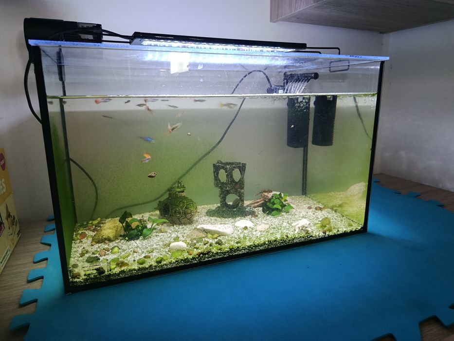 Acvariu 55L complet dotat hranitor automat